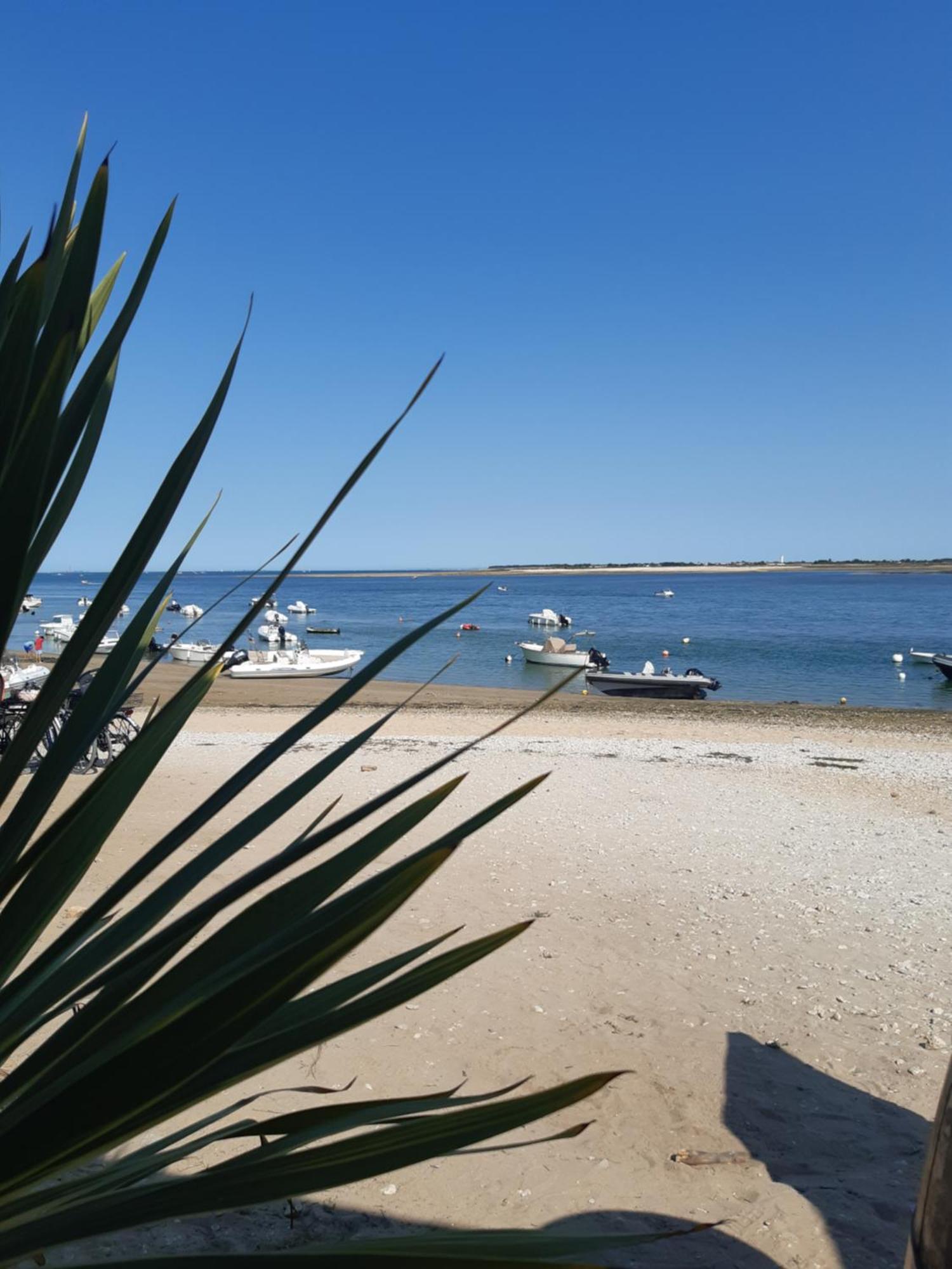 Maison De Vacances Entiere A 10 Mn De La Rochelle Dompierre-sur-Mer Exteriör bild